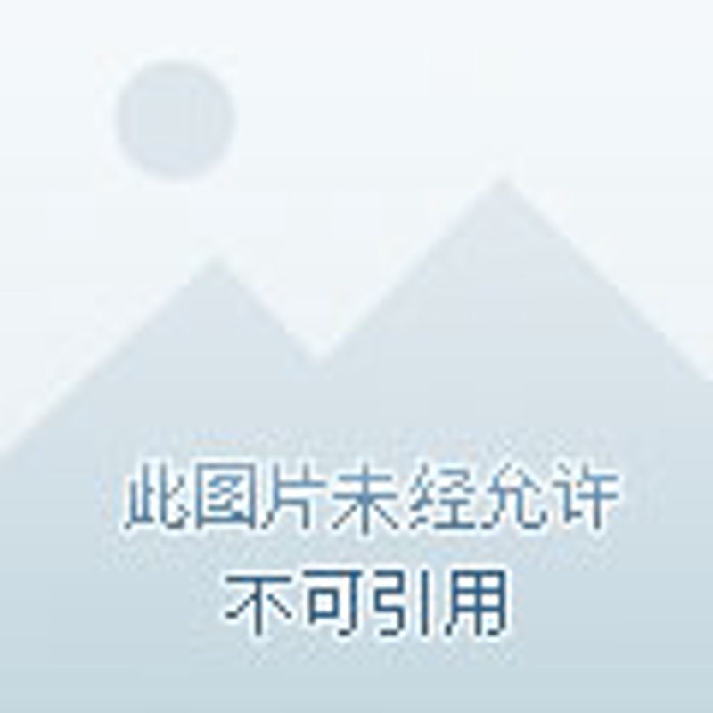 AI搜索引擎优化，你真的了解吗？