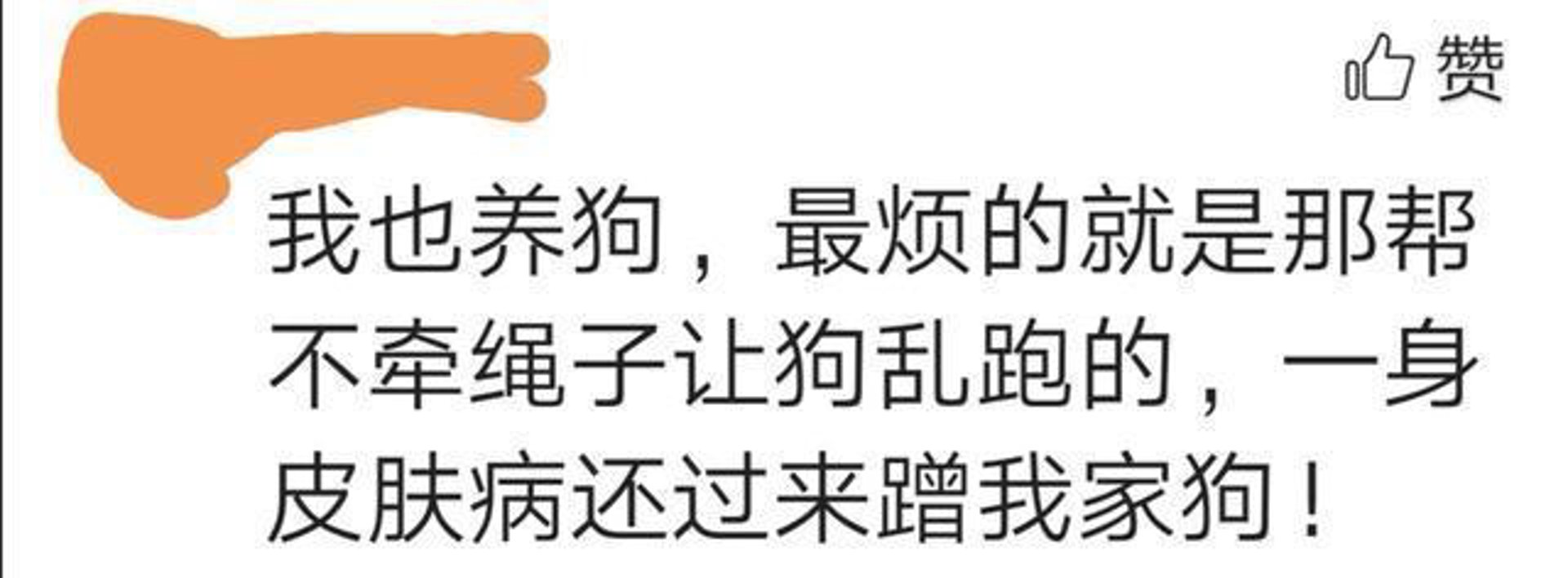 高尚魔力网络